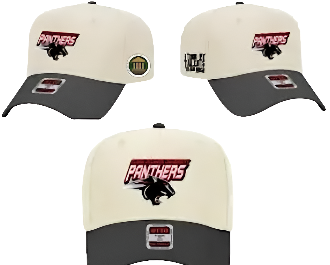 "I took my talent$ to an HBCU" Collegiate Licensed Snapback