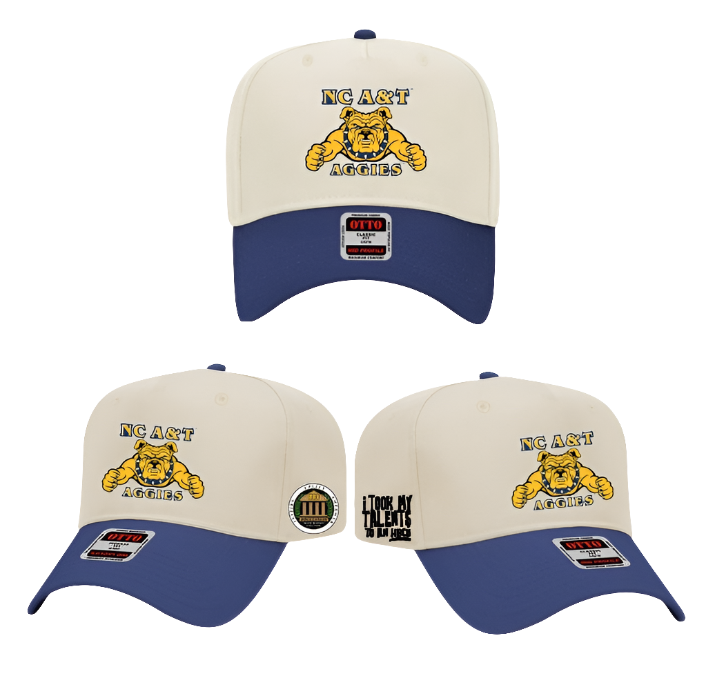 "I took my talent$ to an HBCU" Collegiate Licensed Snapback