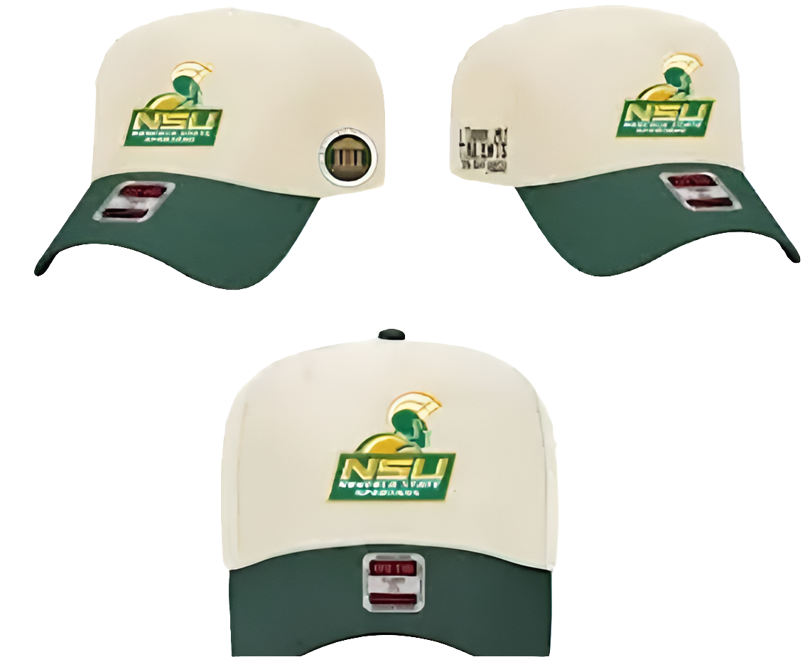 "I took my talent$ to an HBCU" Collegiate Licensed Snapback
