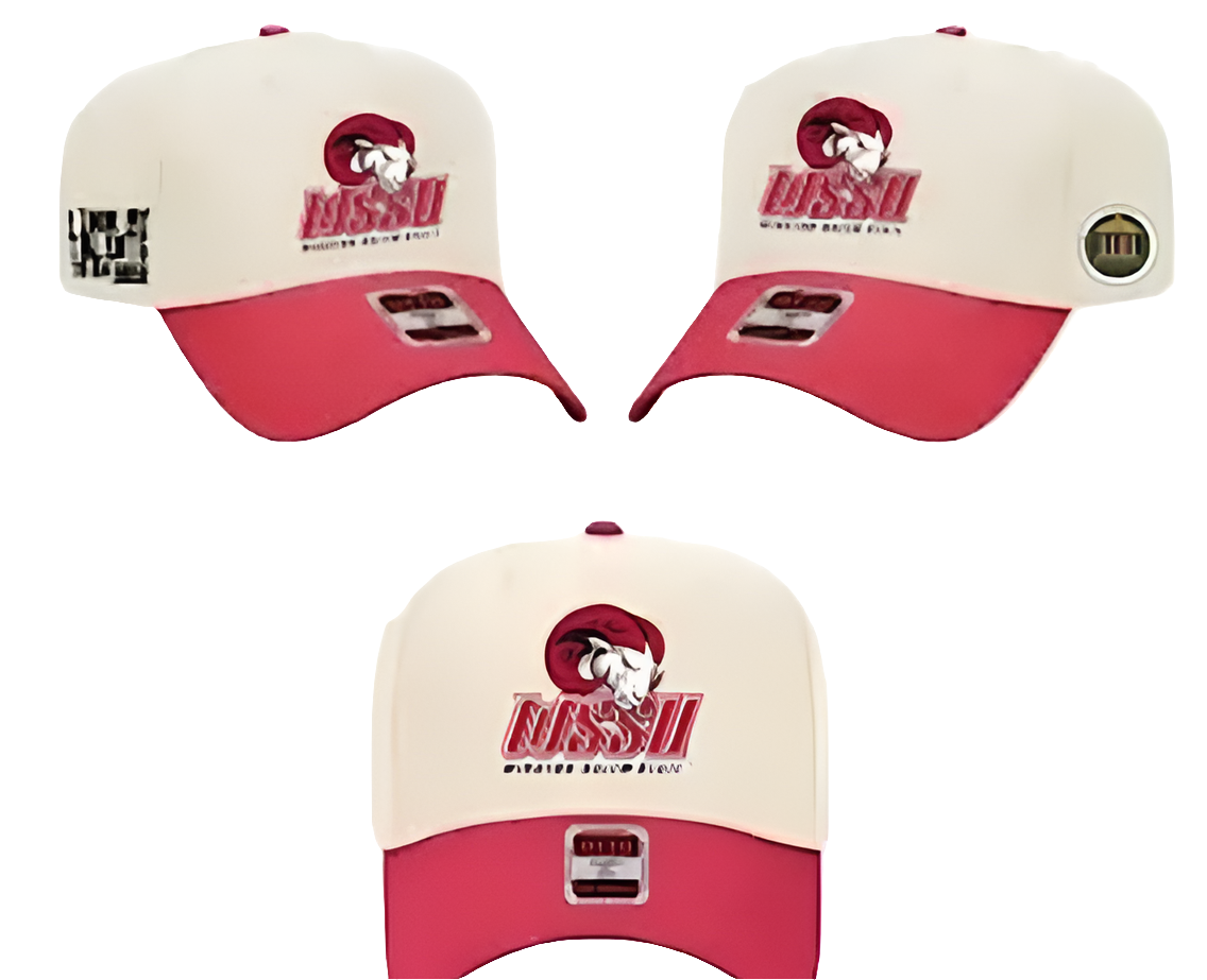 "I took my talent$ to an HBCU" Collegiate Licensed Snapback