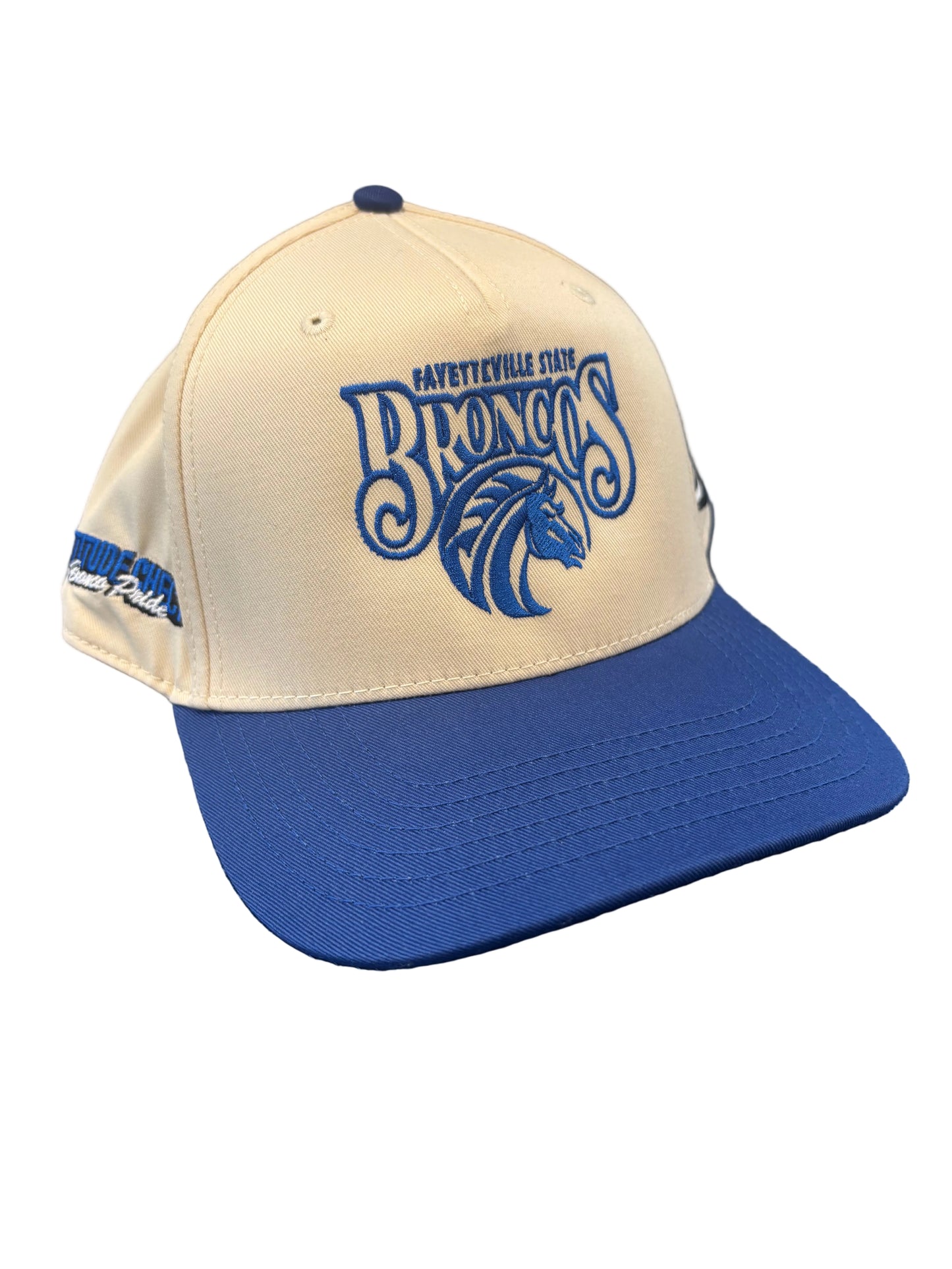 "I took my talent$ to an HBCU" Collegiate Snapback
