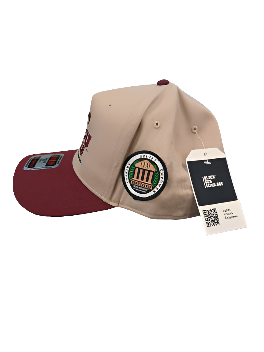 "I took my talent$ to an HBCU" Collegiate Snapback