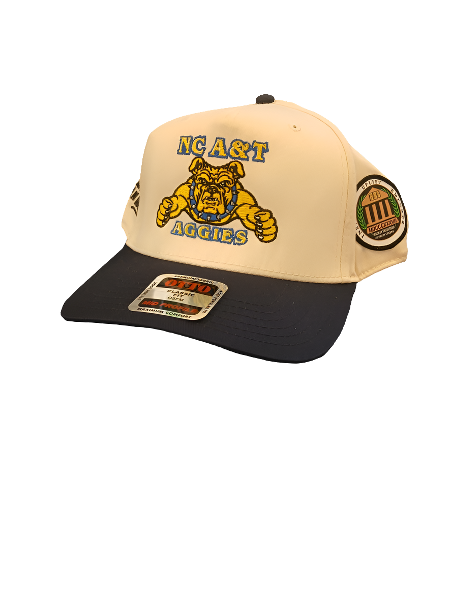 "I took my talent$ to an HBCU" Collegiate Snapback